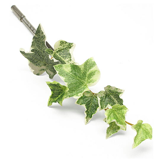 ܥ˥ڥ/꡼󥷥꡼ Botanical Pen/Green image