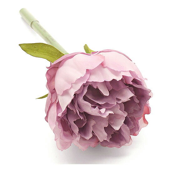 ܥ˥ڥ/ԥˡ Botanical Pen/Peony image