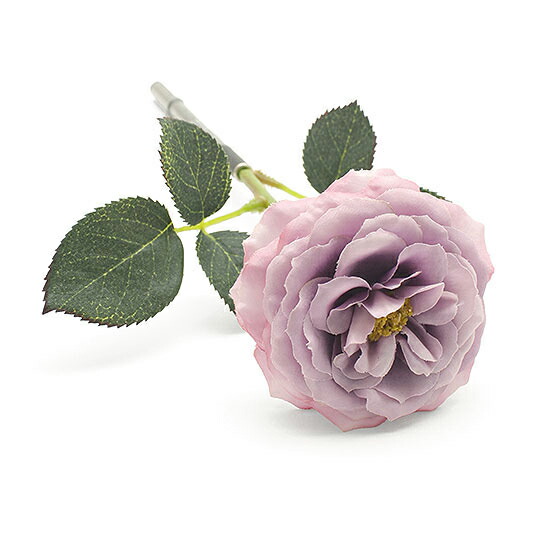 ܥ˥ڥ/ Botanical Pen/Modern Ro image