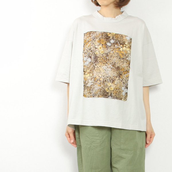 5ʬµ�ե졼��T����� image