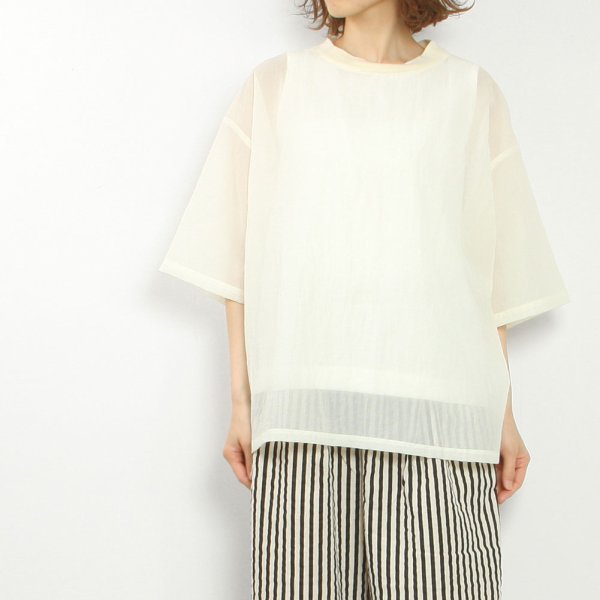 5ʬµT����� image