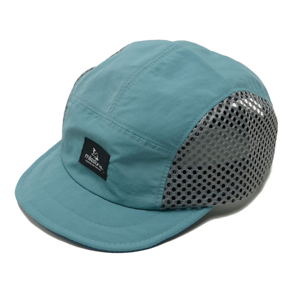 MSC-010milestone original Cap image