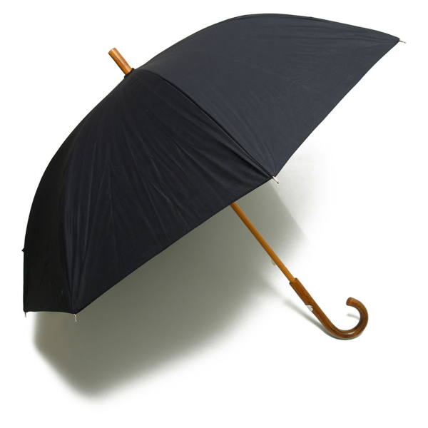 LONG UMBRELLA SILVER image