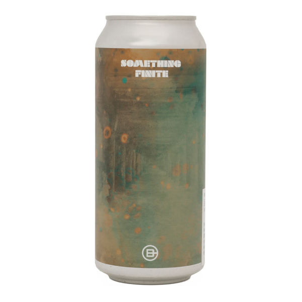 SOMETHING FINITE image