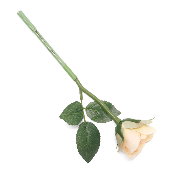 ܥ˥ڥ/ԡ Botanical Pen/Peach rose image