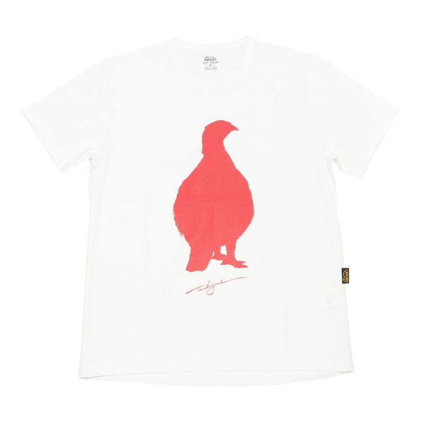 ROCK PTARMIGAN image