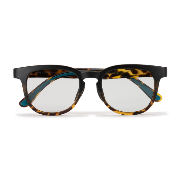 BLAKE Tortoise Photochromic Grey image