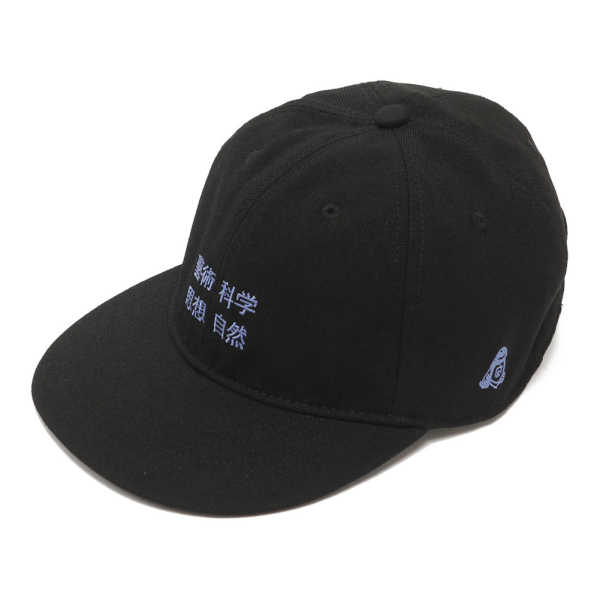 ݽѲʳػۼCAP image